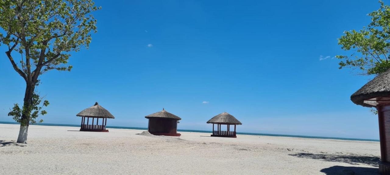 Moonlight Apartament 3 Camere Lux 803 Mamaia Εξωτερικό φωτογραφία
